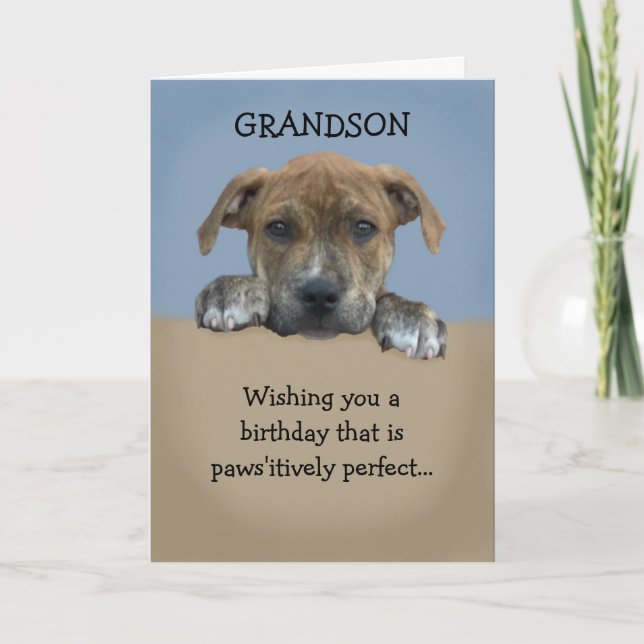 Admin Grandson Birthday Card Kort (Framsida)