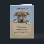 Admin Grandson Birthday Card Kort<br><div class="desc">Bekvämt födelsedagskort som är anpassade med ditt personlig-meddelande.</div>