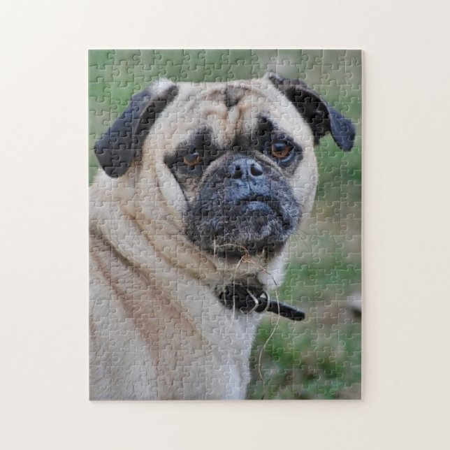 Adminent Pug Photo Puzzle Pussel (Vertikal)