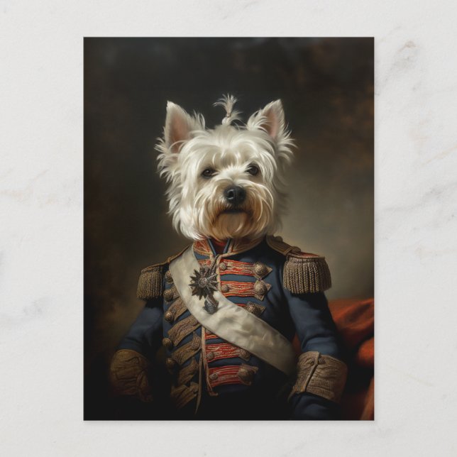 Admiral Väster Highland Terrier Vykort (Framsida)