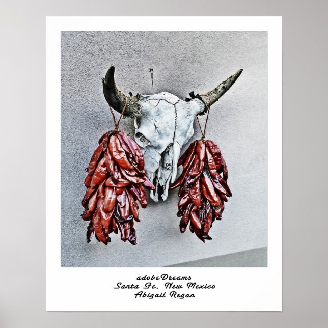 adobeDreams by Abigail Regan poster (Framsidan)