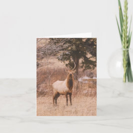 Adolescence - 4" x 5.6" Notecard Helgkort