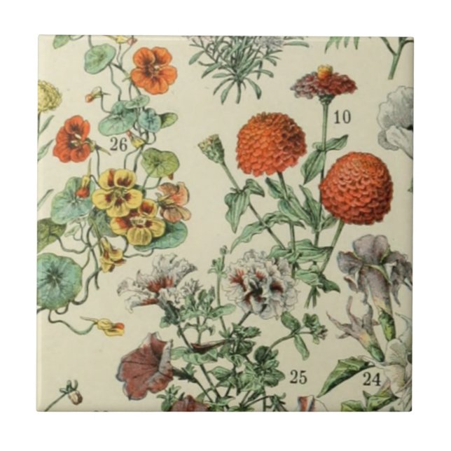 Adolph Millot Botanical Blommigt Detail 3 Kakelplatta (Framsidan)