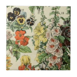 Adolph Millot Botanical Blommigt Detail Kakelplatta