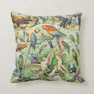 Adolphe Millot bird A Kudde