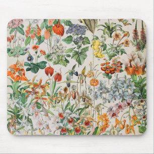 Adolphe Millot Blommor D Musmatta