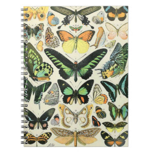 Adolphe Millot Butterflies B Anteckningsbok