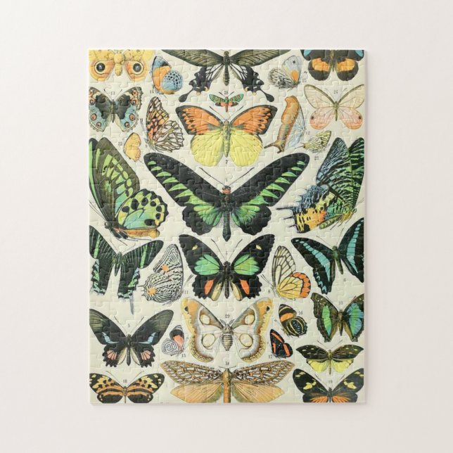 Adolphe Millot Butterflies B Pussel (Vertikal)