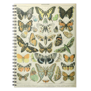 Adolphe Millot Butterflies Mönster-A bärbar dator Anteckningsbok