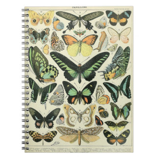 Adolphe Millot Butterflies Mönster-B bärbar dator Anteckningsbok