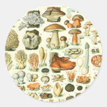 Adolphe Millot Champignon Mushroom-utskrift