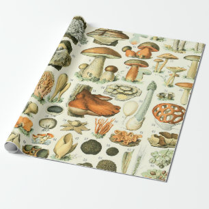 Adolphe Millot Champignon-svamp Skriv ut Presentpapper