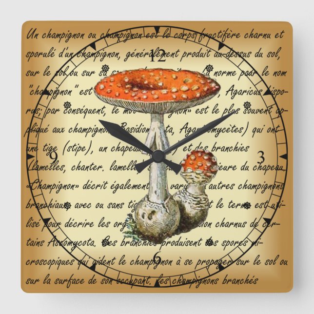 Adolphe Millot ~ Champignons-pour tous-fixed ~ Fyrkantig Klocka (Framsida)