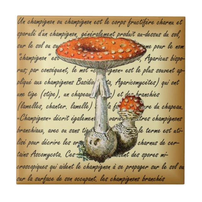 Adolphe Millot ~ Champignons-pour tous-fixed ~  Kakelplatta (Framsidan)
