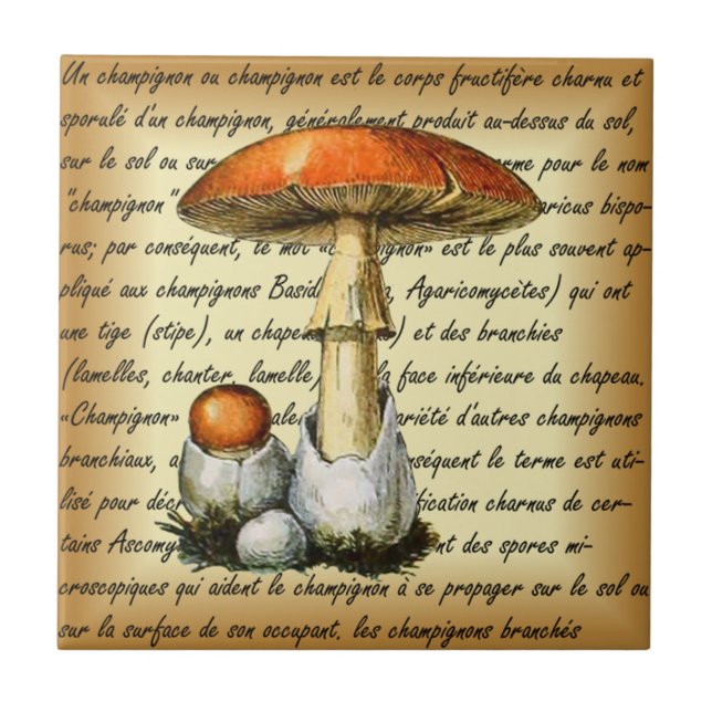Adolphe Millot ~ Champignons-pour tous-fixed ~  Kakelplatta (Framsidan)