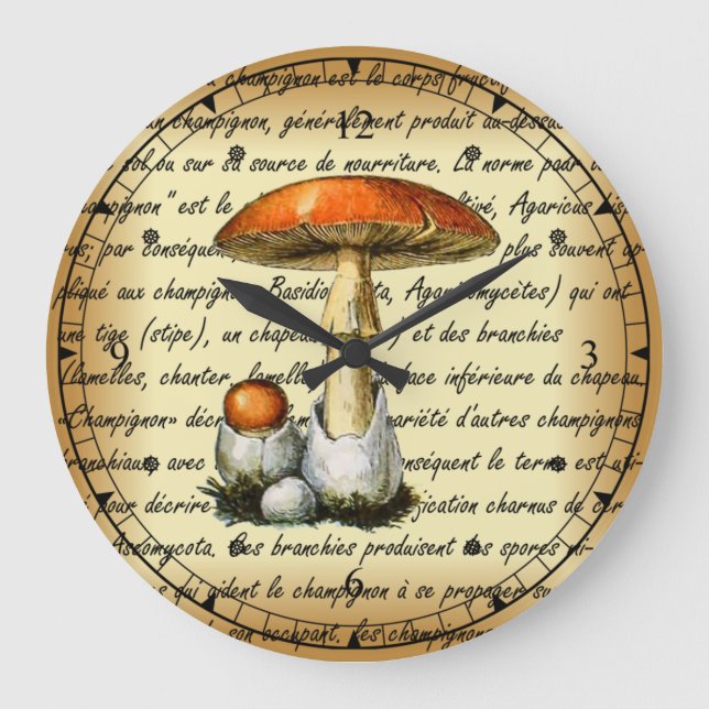Adolphe Millot ~ Champignons-pour tous-fixet ~ Sq Stor Klocka (Framsida)