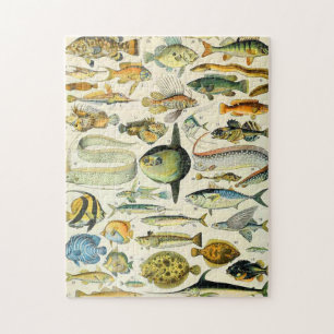 Adolphe Millot fish A Pussel