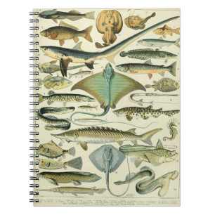 Adolphe Millot Fish Mönster-A Anteckningsbok