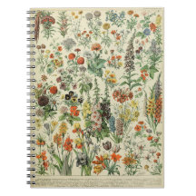 Adolphe Millot Flowers Mönster-A bärbar dator