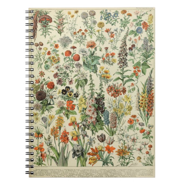 Adolphe Millot Flowers Mönster-A bärbar dator Anteckningsbok (Framsidan)