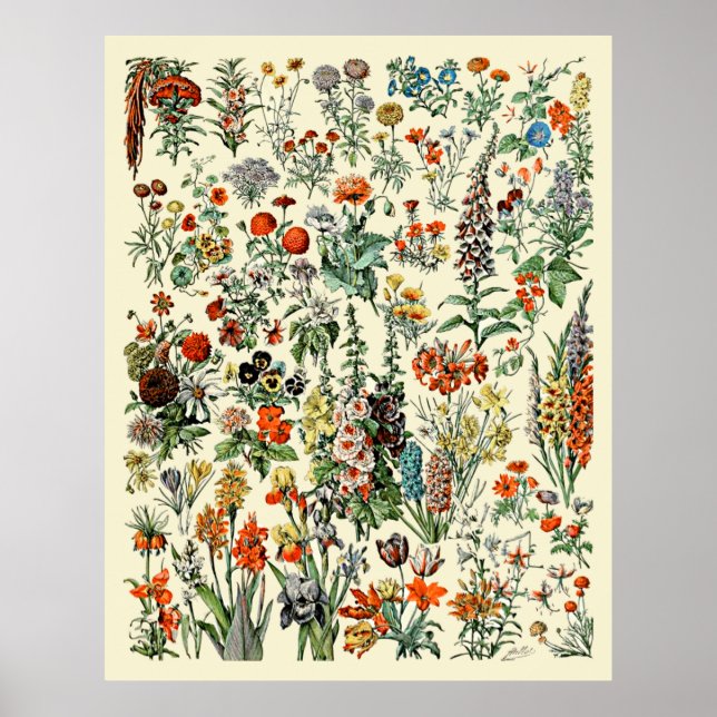 Adolphe Millot Flowers Poster (Framsidan)