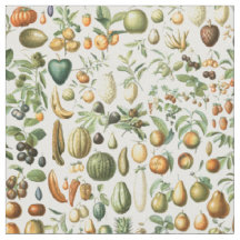 Adolphe Millot Fruits