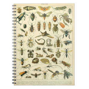 Adolphe Millot Insekter Mönster-C bärbar dator Anteckningsbok