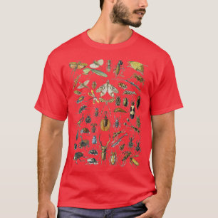 Adolphe Millot Insekter Spider T Shirt