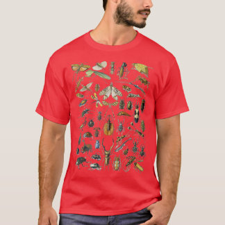 Adolphe Millot Insekter Spider T Shirt