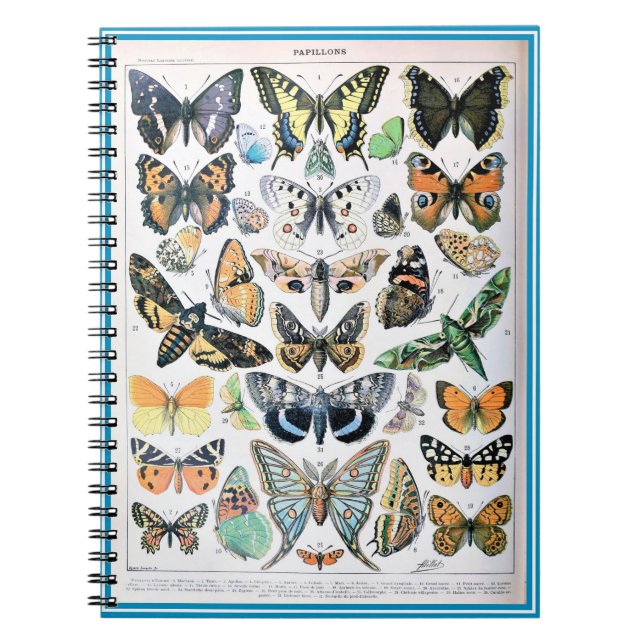 Adolphe Millot List of Butterflies Anteckningsbok (Framsidan)