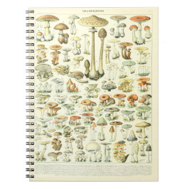 Adolphe Millot Notebook Mushroom Mönster Anteckningsbok