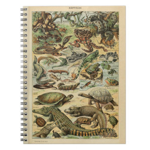 Adolphe Millot Reptile Mönster bärbar dator Anteckningsbok