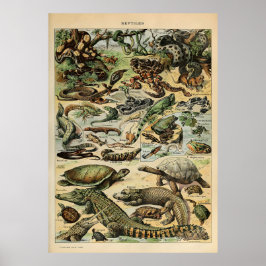 Adolphe Millot Reptile Poster