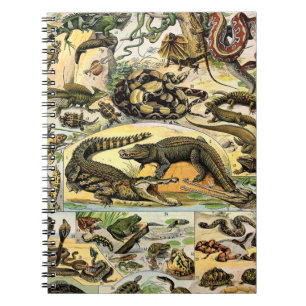 Adolphe Millot Reptiles 1 bärbar dator Anteckningsbok