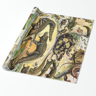 Adolphe Millot Reptiles 1 Omslagning Papper Presentpapper