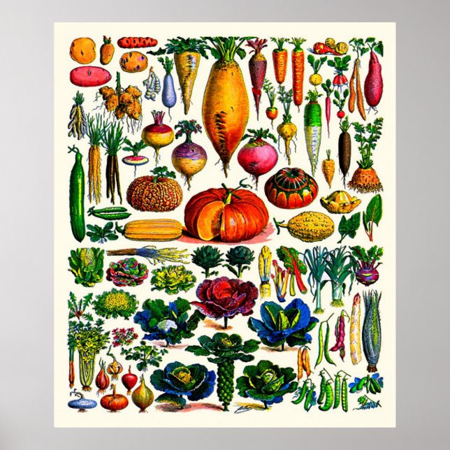 Adolphe Millot ~ Vegetables Poster (Framsidan)