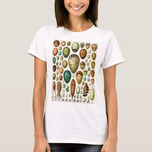 Adolphe Millot Vintage Fransk Bird Eggs T Shirt (Framsida)