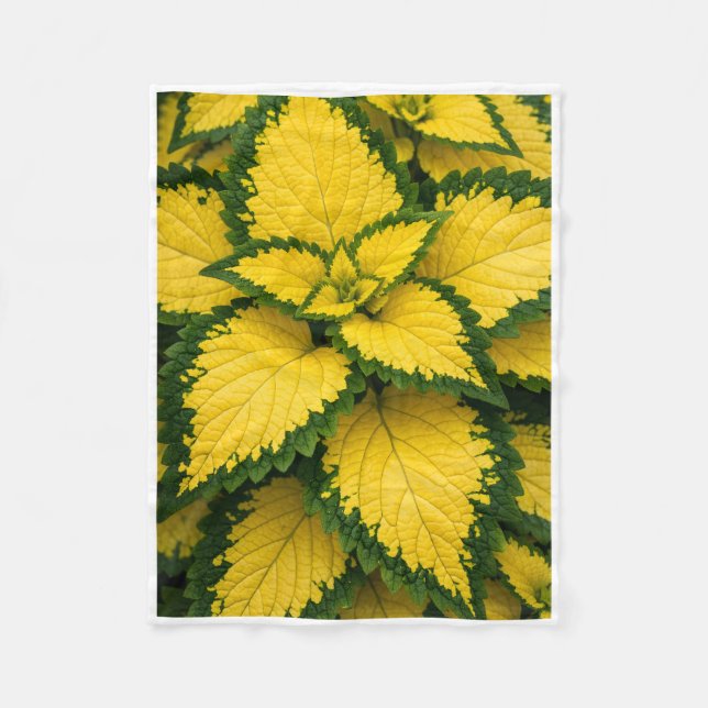 ADOM Gula Coleusblad Vävd Filta Fleecefilt (Framsidan)