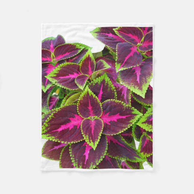 ADOM Lila Coleusblad Filt (Framsidan)