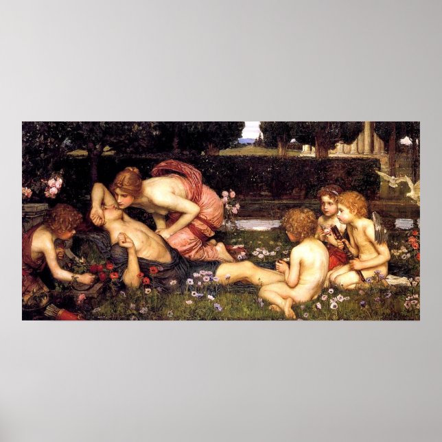 Adonis uppvaknande av John William Waterhouse Poster (Framsidan)