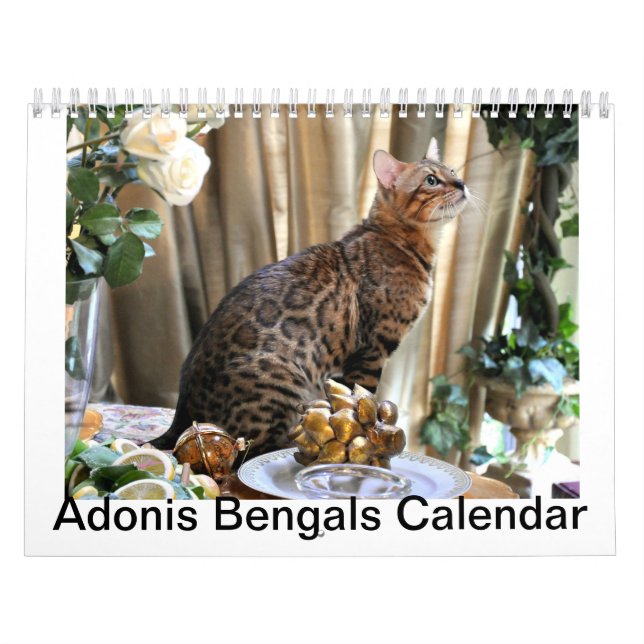 AdonisBengals kalender 2014 (Omslag)