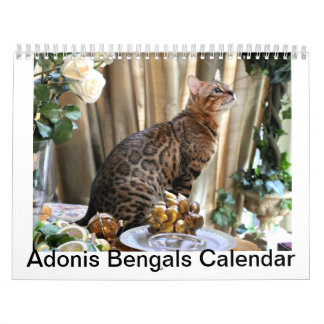 AdonisBengals kalender 2014