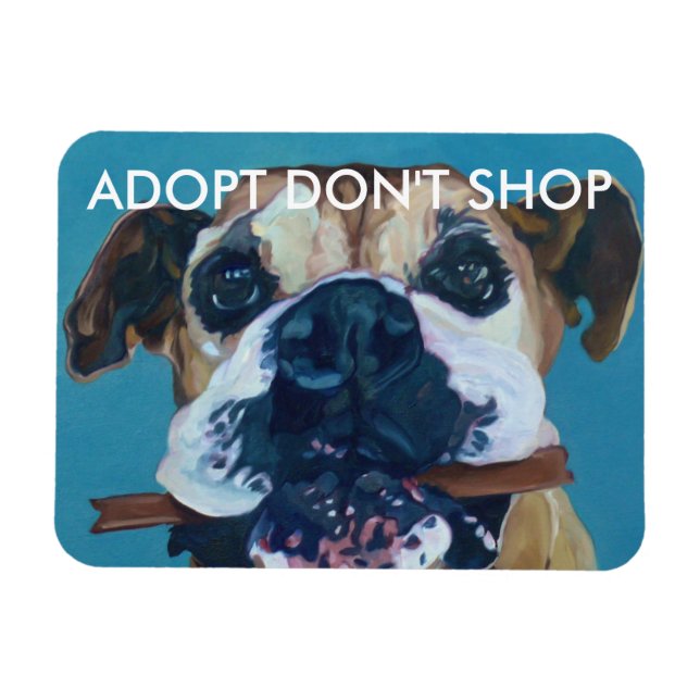 ADOPT DON INTE SHOP Car Magnet (Horisontell)