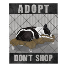 Adopt Don’t Shop