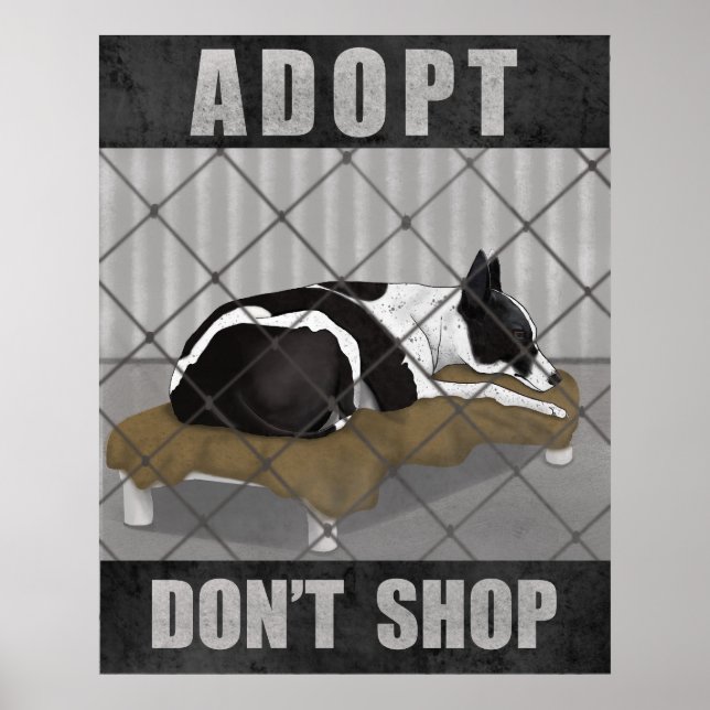 Adopt Don’t Shop Poster (Framsidan)