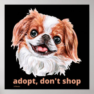 ADOPT, DON'T SHOP (Japanska spanjoren), söt hund Poster
