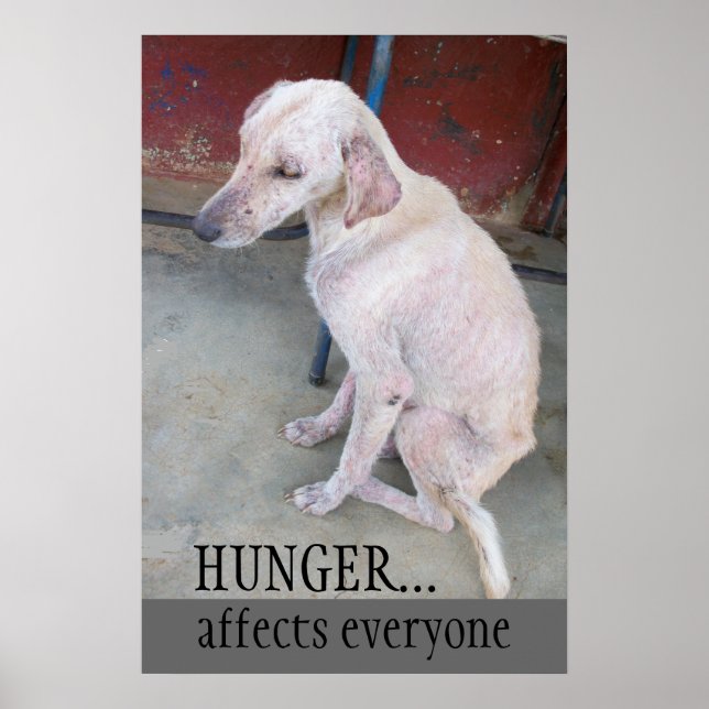 Adopt Dont Shop Poster (Framsidan)