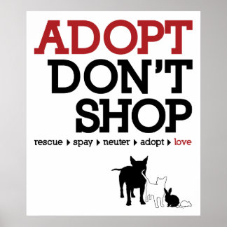 Adopt Shop fungerar inte Poster