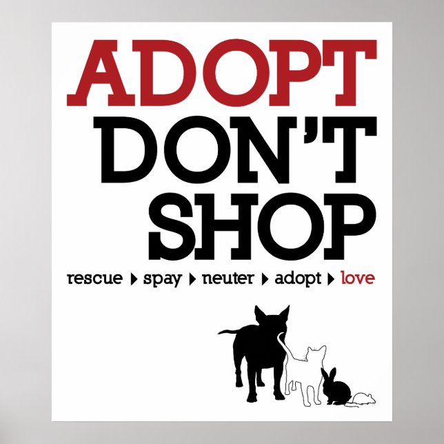Adopt Shop fungerar inte Poster (Framsidan)