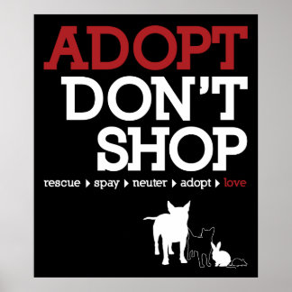 Adopt Shop fungerar inte Poster